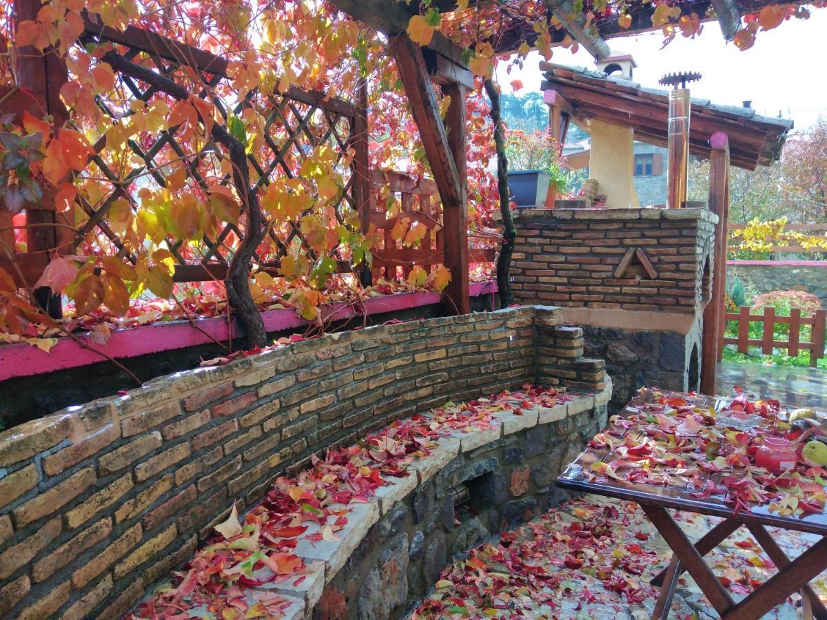 Archontiko Nikolopoulou Hotel Vitina Exterior photo