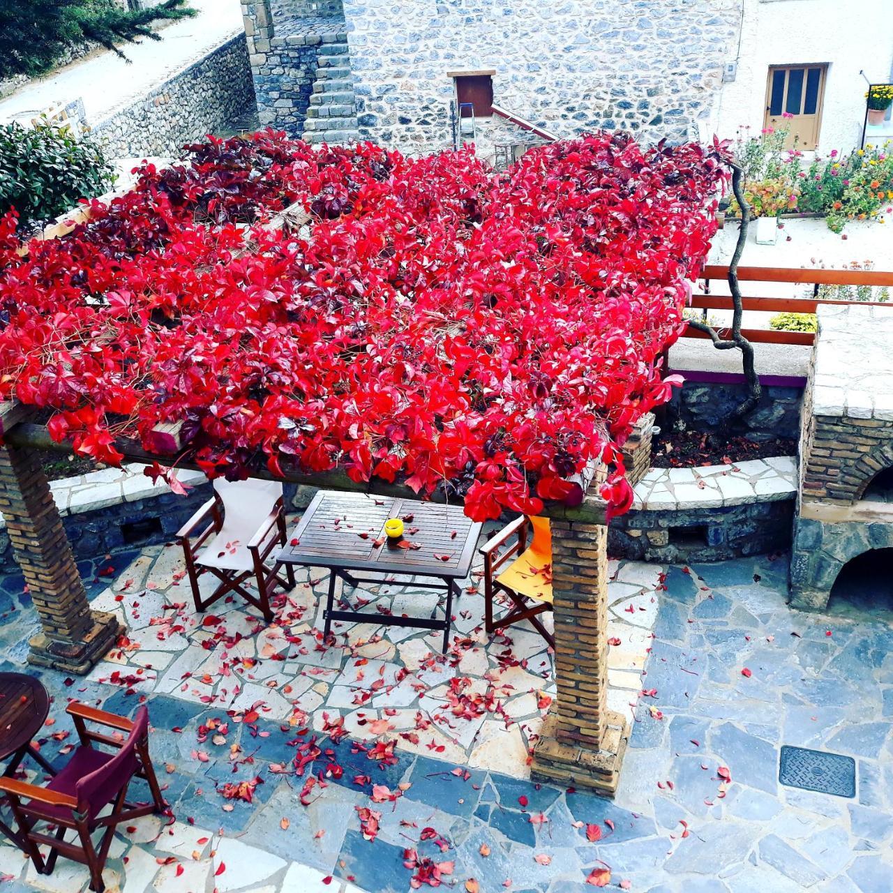 Archontiko Nikolopoulou Hotel Vitina Exterior photo